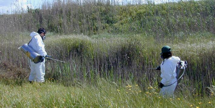 
	Disinfestatori al lavoro


