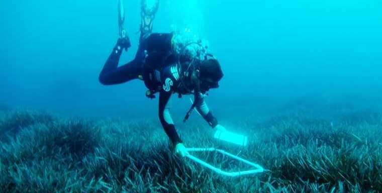 Tavolara, così i robot sottomarini salveranno la posidonia 