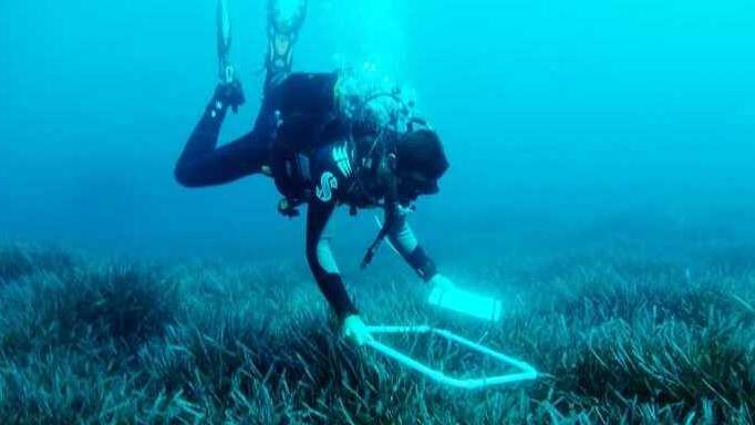 Tavolara, così i robot sottomarini salveranno la posidonia