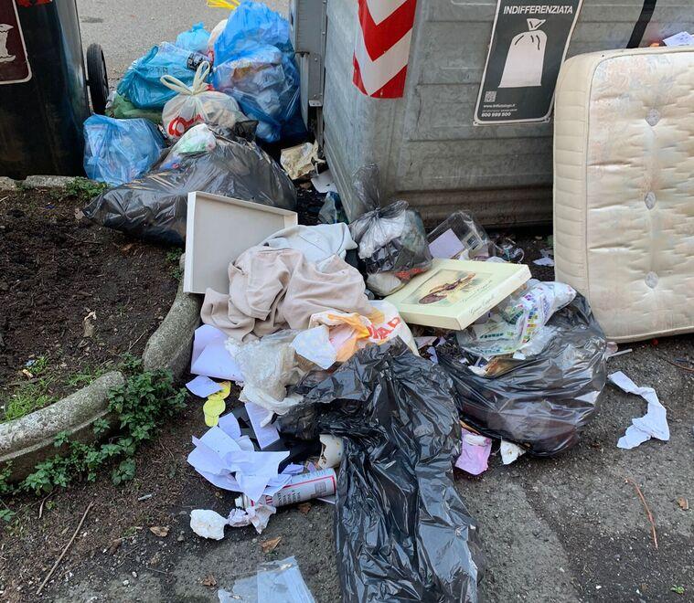 Modena Si allarga ancora la differenziata lungo i Viali e nel Quartiere 3 