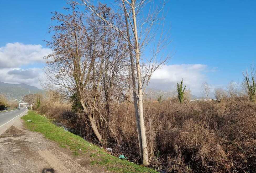 Il terreno dell’ex Camping Versilia
