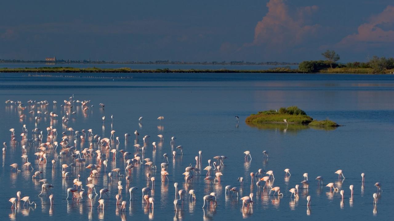 La novità nel Delta è il furto d’acqua: in tempi di siccità si aggiunge un reato