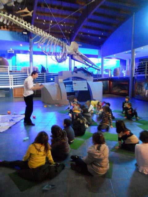 Art Bonus, Livorno si gioca il titolo: servono i voti per il museo di Storia Naturale. Ecco come fare