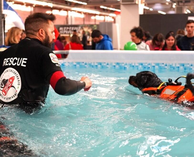 Grande successo per “Wow! Modena” Ben 14mila visitatori per la fiera green