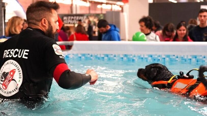 Grande successo per “Wow! Modena” Ben 14mila visitatori per la fiera green