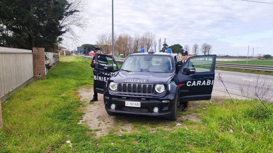 Bosco Mesola, sorpresi a rubare rame: arrestati dai carabinieri