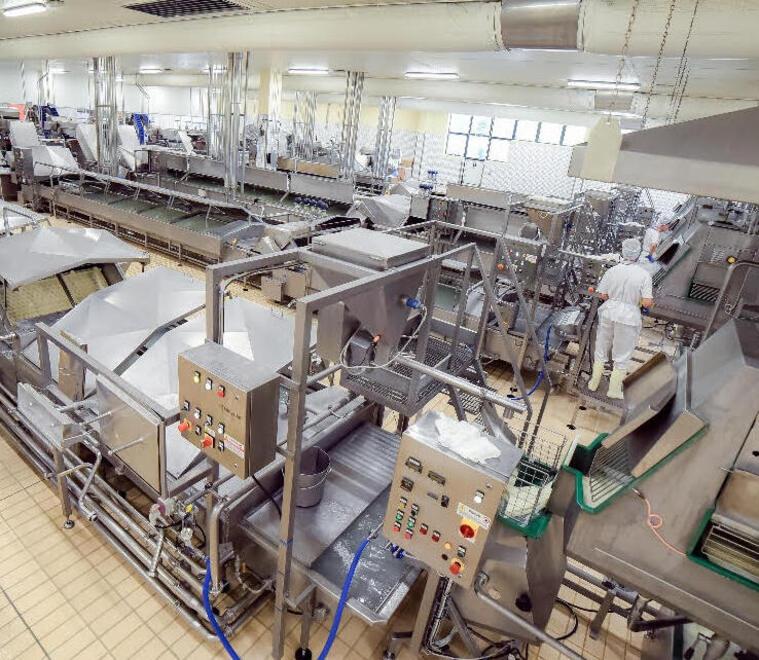 Modena. MilkyLab, “matrimonio” vicentino Nasce il leader del settore caseario 