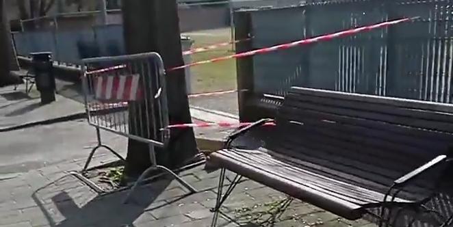 Argenta. Bimba cade, alberi sotto accusa