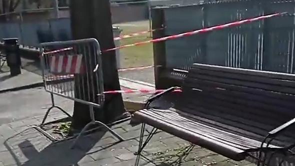 Argenta. Bimba cade, alberi sotto accusa