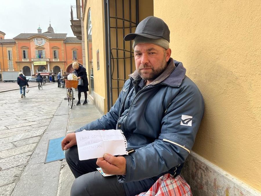 «La mia cagnolina si chiama Maya, aiutatemi a farmela restituire»