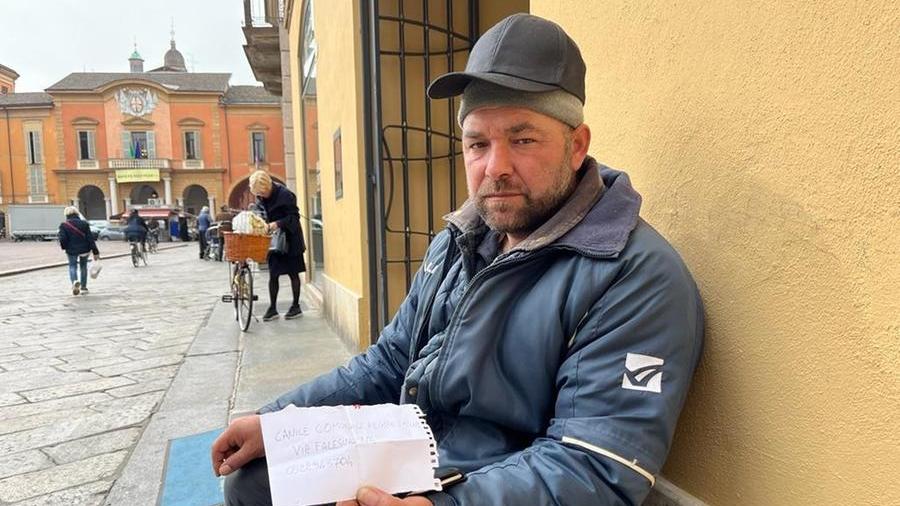 «La mia cagnolina si chiama Maya, aiutatemi a farmela restituire»