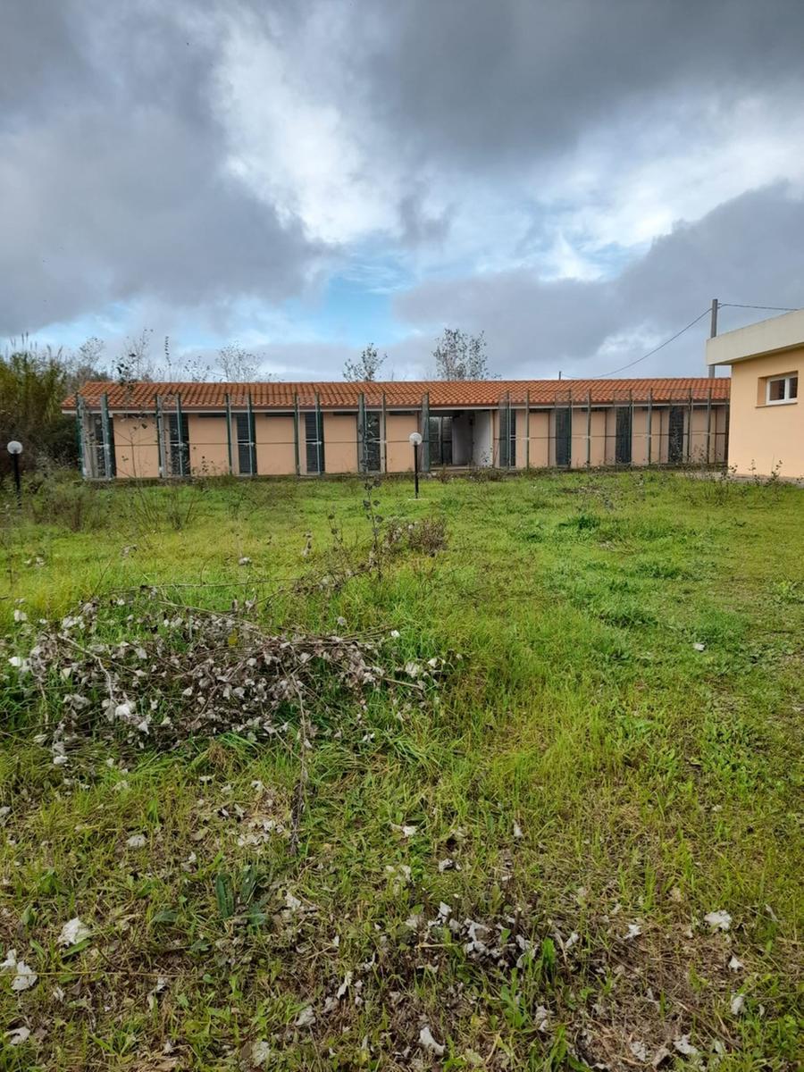 
	La struttura che ospiter&agrave; il canile di Terralba

