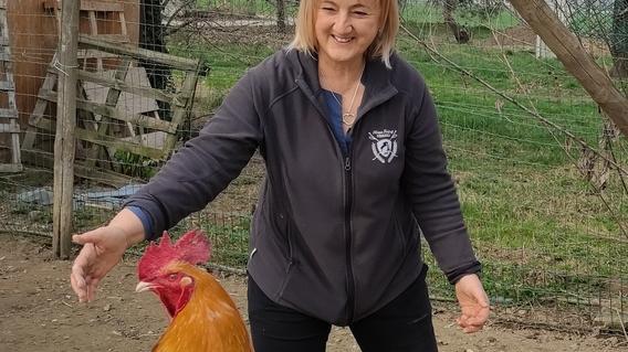 «Una statua di Pedro sulla rotonda» I formiginesi al fianco del gallo