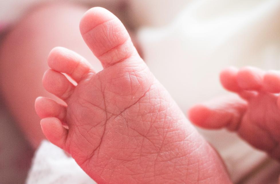 Prato, baby boom al Santo Stefano: 16 nati nel week-end