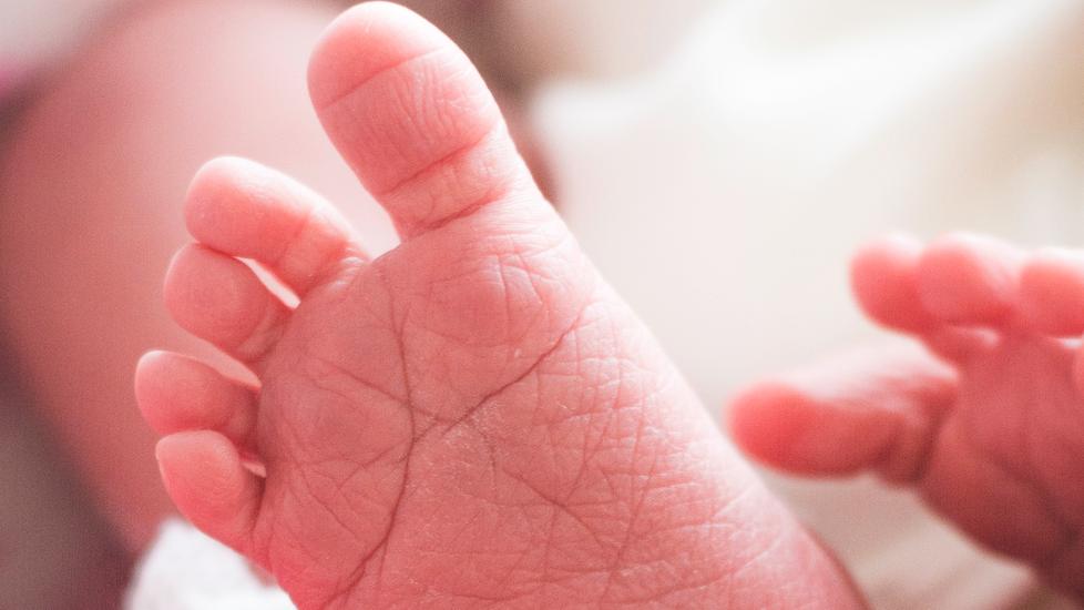 Prato, baby boom al Santo Stefano: 16 nati nel week-end