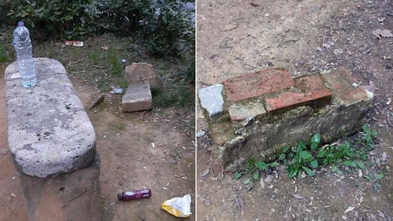 Montecatini, ancora vandali in pineta