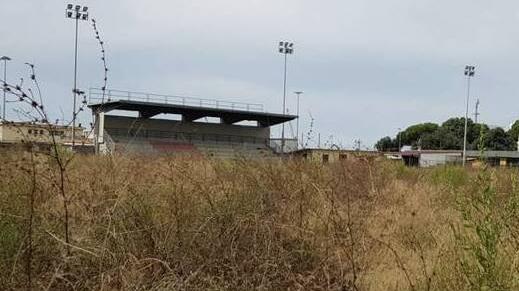 Carrara, il campo dei pini mette il turbo: si può partire con la progettazione