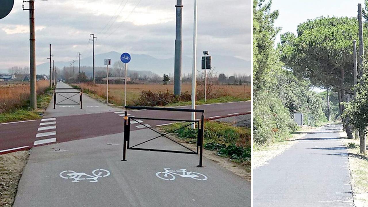 Pisa, cento nuovi alberi ogni anno sulla ciclopista del “trammino”