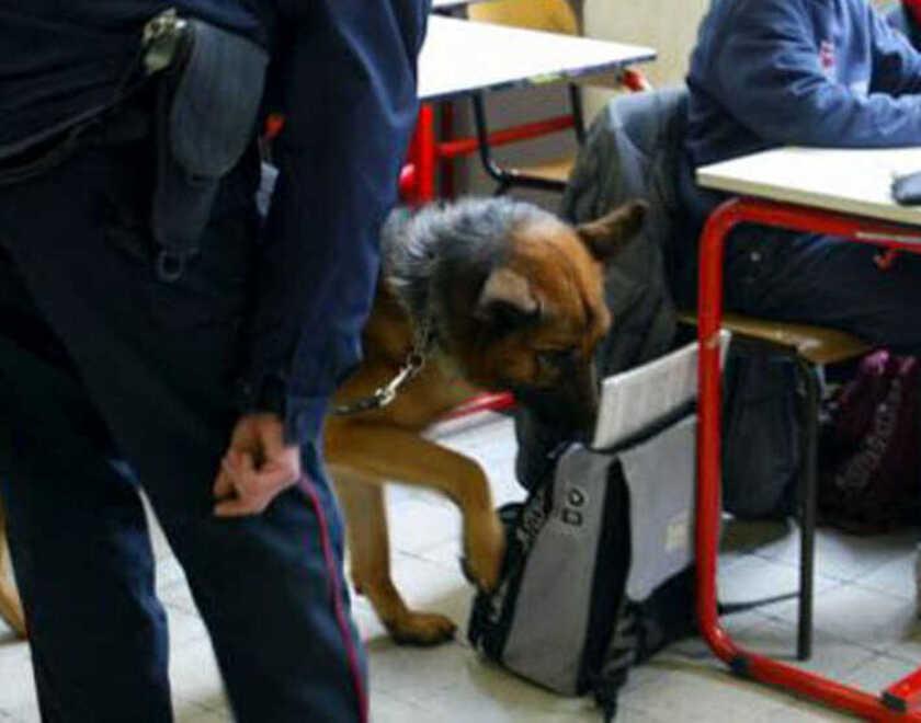 Droga alle scuole elementari e medie in Valdera, contro lo spaccio arrivano le telecamere: ecco il piano