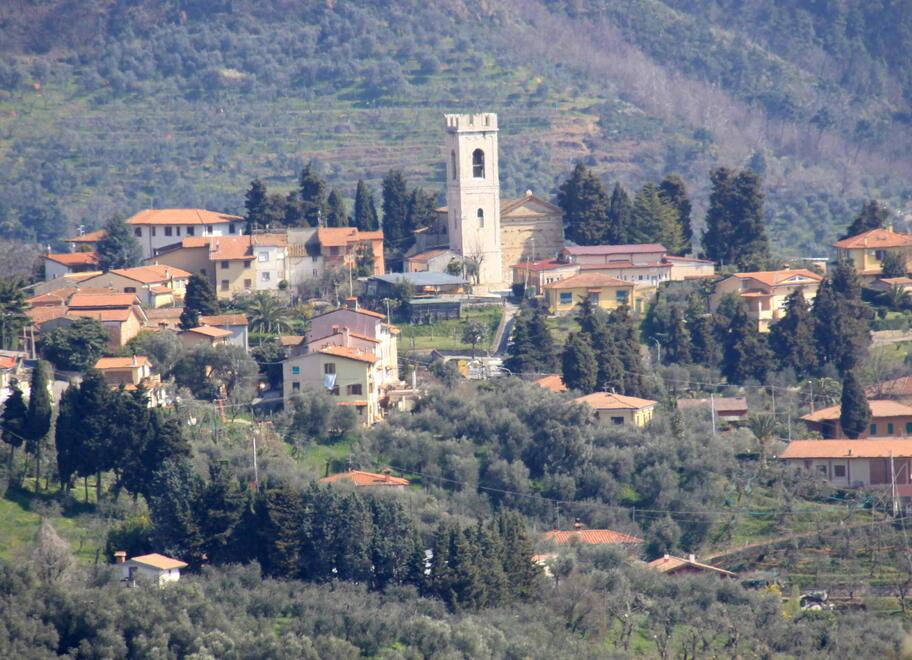 Massarosa, le case in collina su AirBnb da 90 a 176 euro a notte: ecco le mete più gettonate