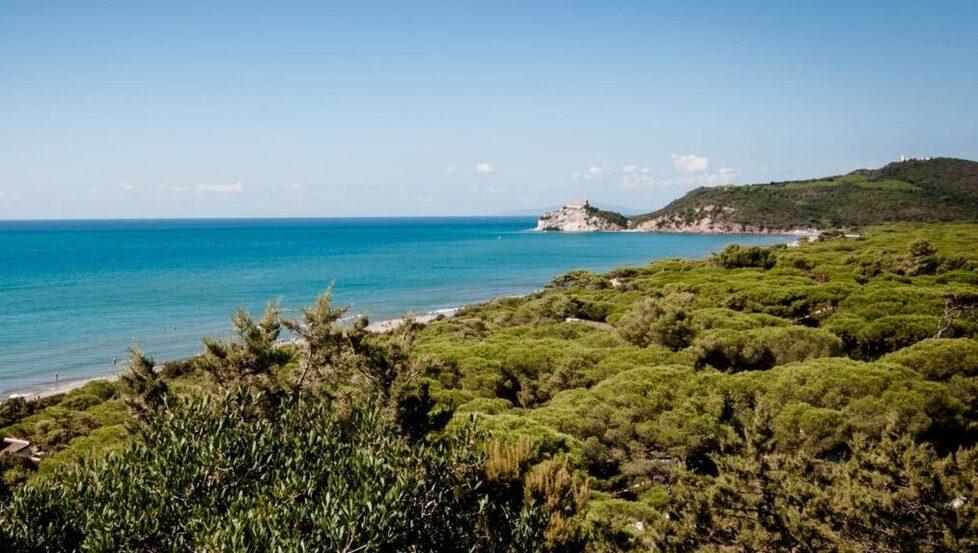A Roccamare con Calvino: una passeggiata nella splendida pineta di Castiglione della Pescaia