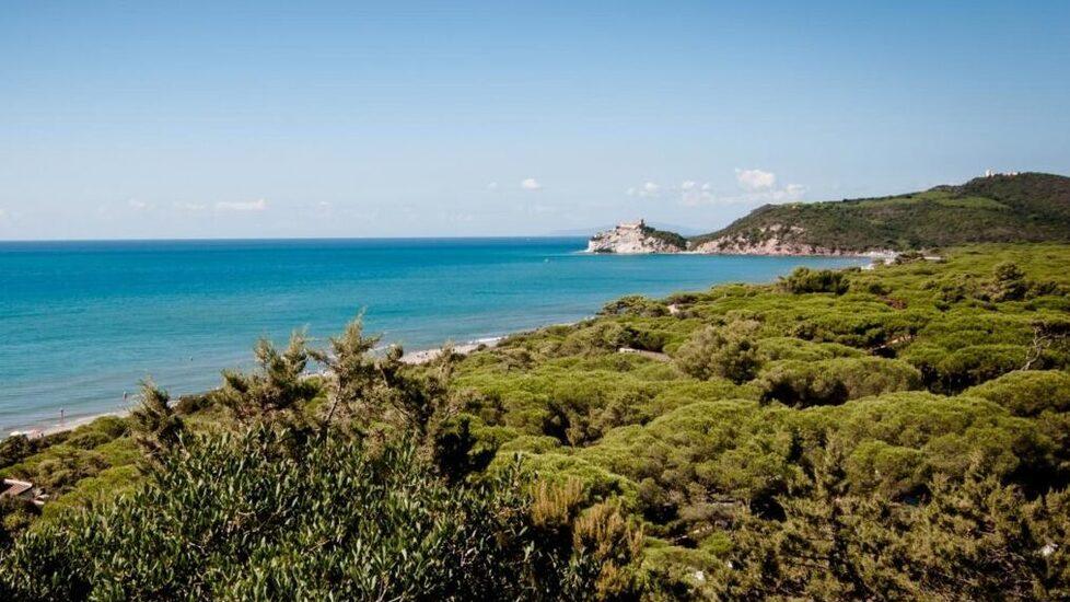 A Roccamare con Calvino: una passeggiata nella splendida pineta di Castiglione della Pescaia