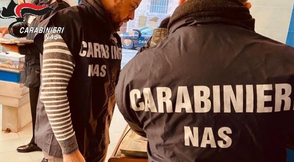 Sporco e animali morti, chiusa pasticceria all’ingrosso