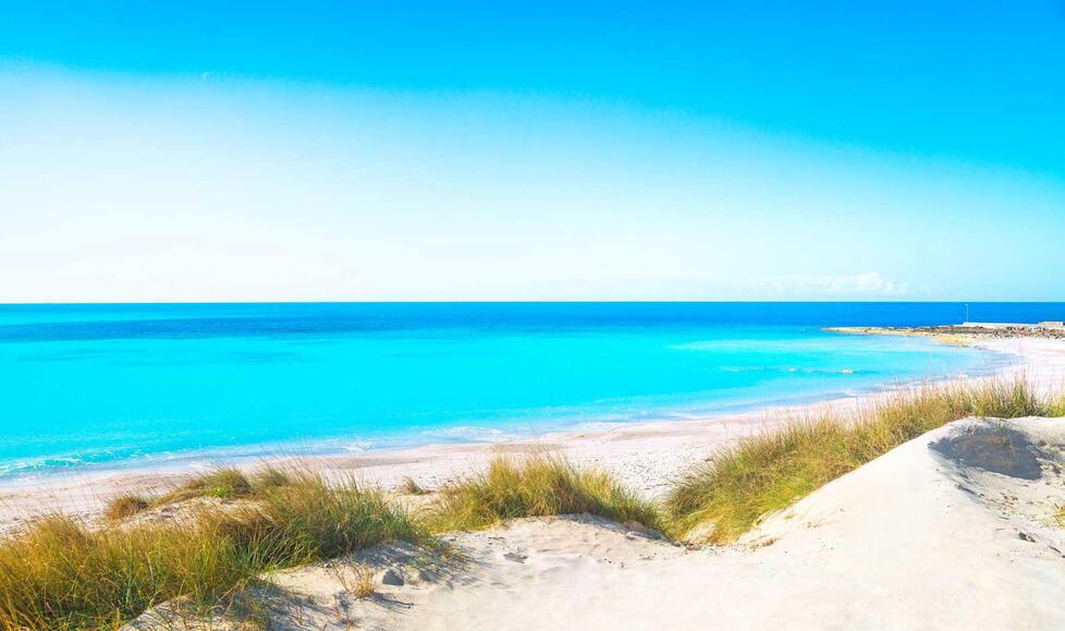 Una immagine delle spiagge bianche di Vada