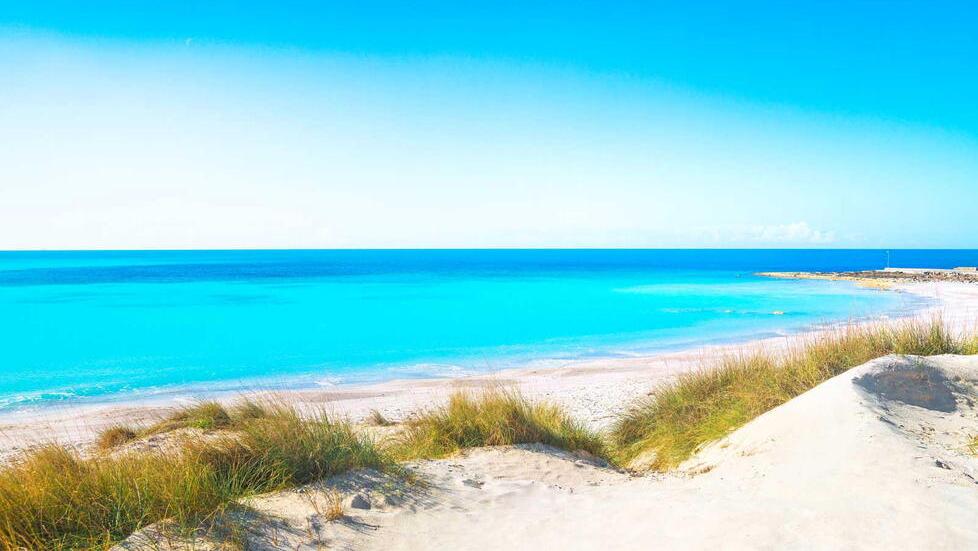 Una immagine delle spiagge bianche di Vada