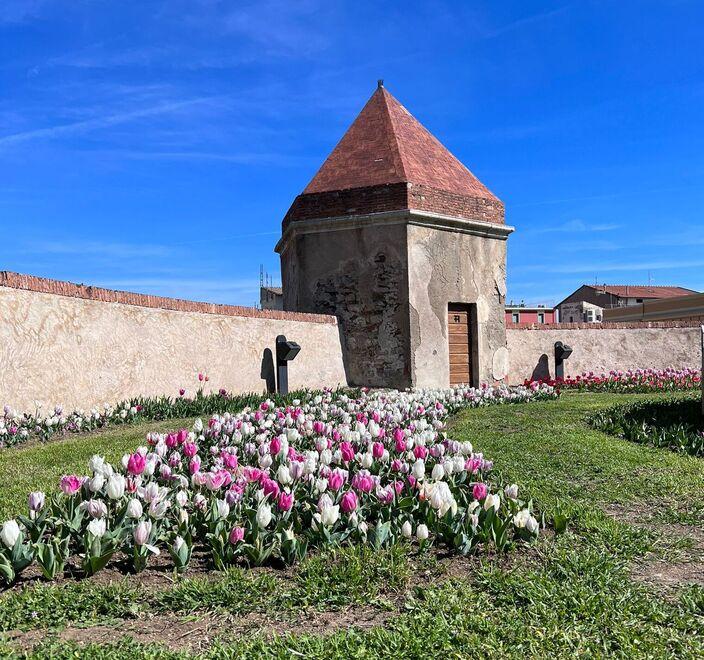 I giardini sulle mura rimarranno aperti e visitabili fino a domenica 2 aprile dalle 14.30 alle 19 e solo il sabato e la domenica anche in orario mattutino dalle 11 fino alle 19