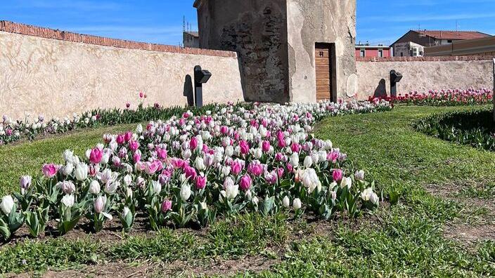 I giardini sulle mura rimarranno aperti e visitabili fino a domenica 2 aprile dalle 14.30 alle 19 e solo il sabato e la domenica anche in orario mattutino dalle 11 fino alle 19