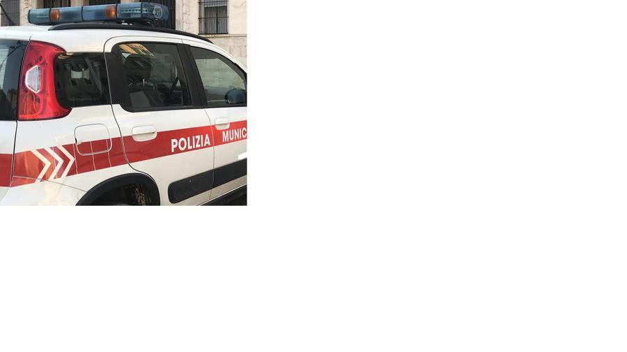 Carrara, grave anziano travolto da un’auto ad Avenza