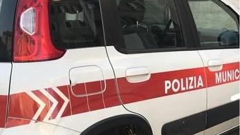 Carrara, grave anziano travolto da un’auto ad Avenza