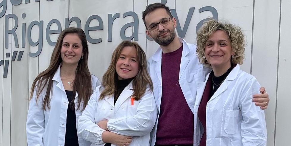 Modena. Mielofibrosi: ricercatori Unimore scoprono una strategia per inibirla 