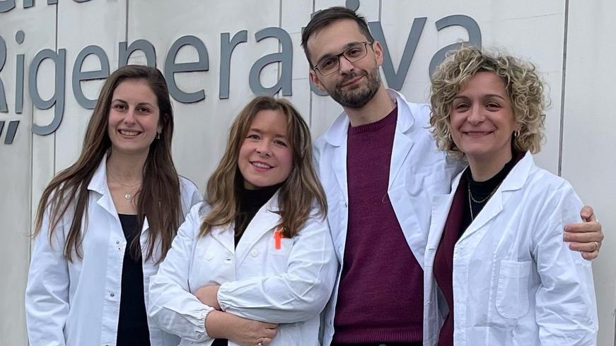 Modena. Mielofibrosi: ricercatori Unimore scoprono una strategia per inibirla