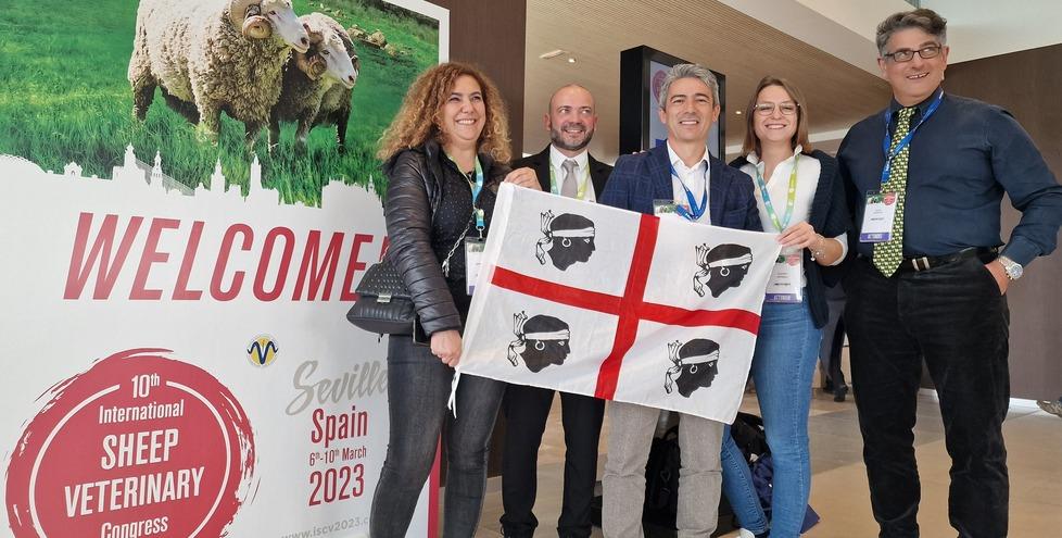 Salute e alimentazione delle capre: così i veterinari sardi fanno scuola 