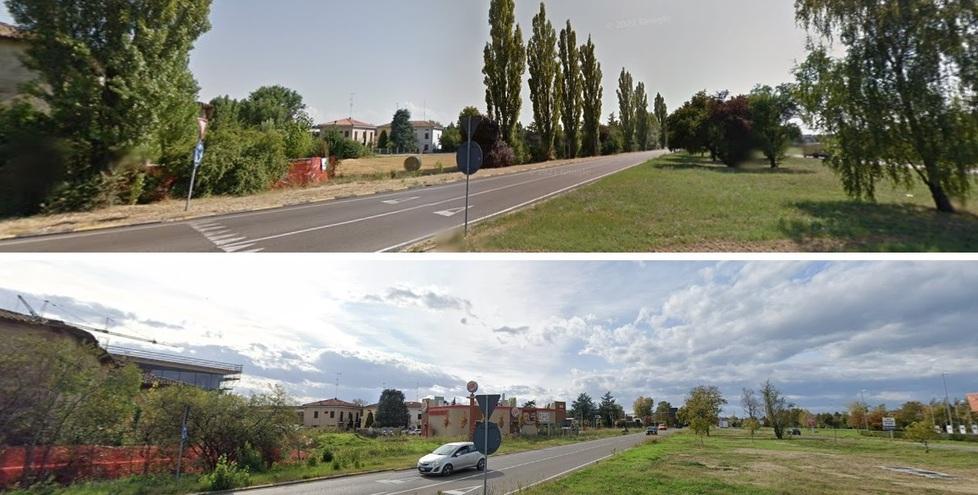 Alberi, 41 metri quadri pro capite «Carpi sopra la media nazionale»