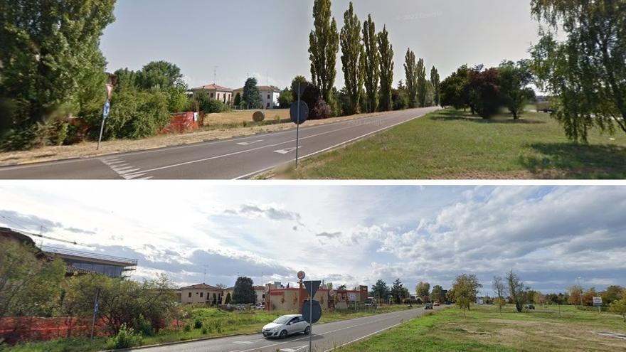 Alberi, 41 metri quadri pro capite «Carpi sopra la media nazionale»