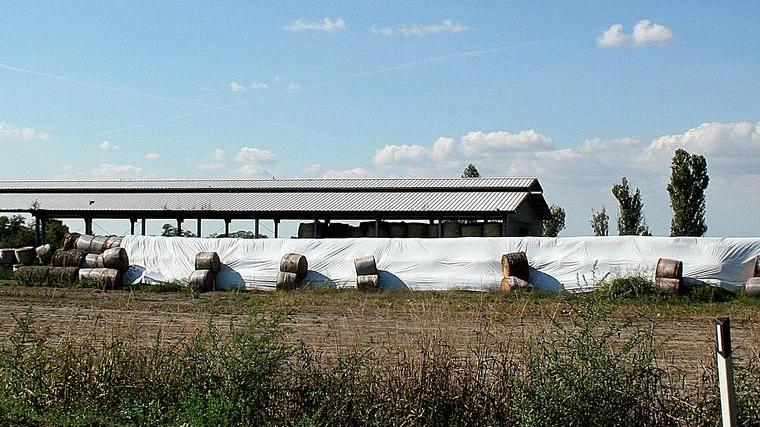 «Con questo furto mi hanno portato via il lavoro di anni»