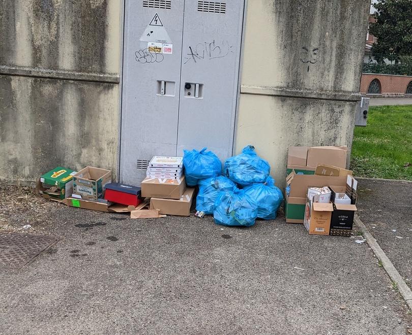 Modena «Rifiuti abbandonati e topi Situazione inaccettabile» 