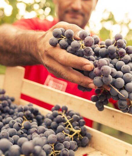 Emilia Romagna Il regno delle coop