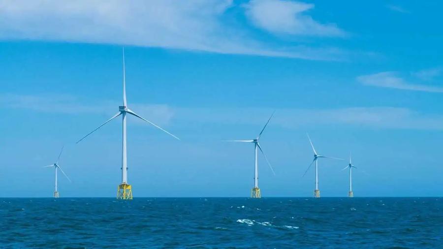 
	Immagine di repertorio di un parco eolico

