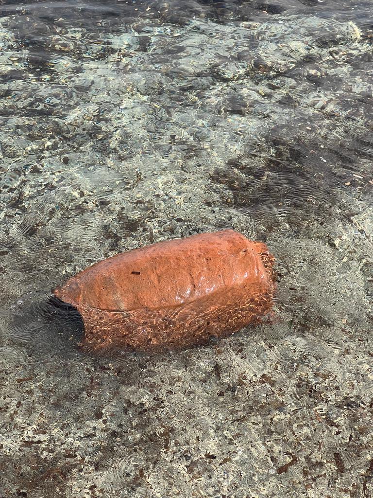 
	L'anfora ritrovata, proveniente da una delle tante navi affondate al largo

