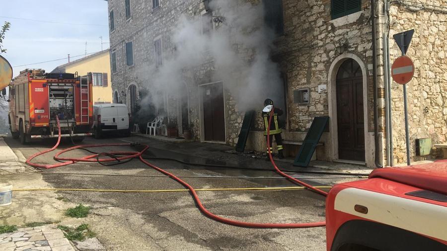 Fiamme nell’appartamento, i vigili del fuoco salvano due gatti e un cane