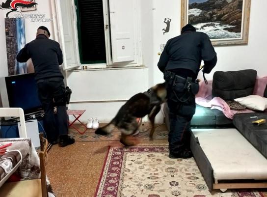 Livorno, trovati con oltre due chili di droga in casa: arrestati dai carabinieri