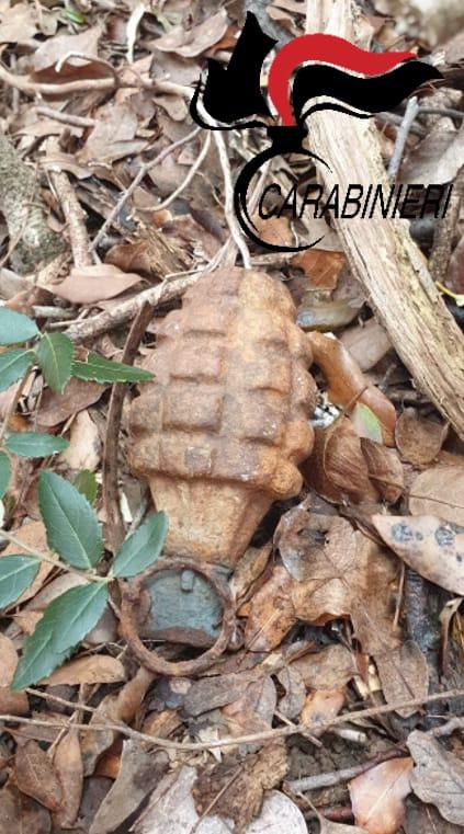 Trovata nel bosco una bomba a mano della Seconda guerra mondiale