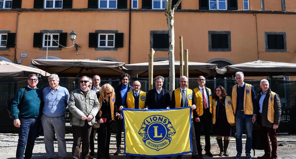 Arrivano i nuovi platani in piazza Napoleone