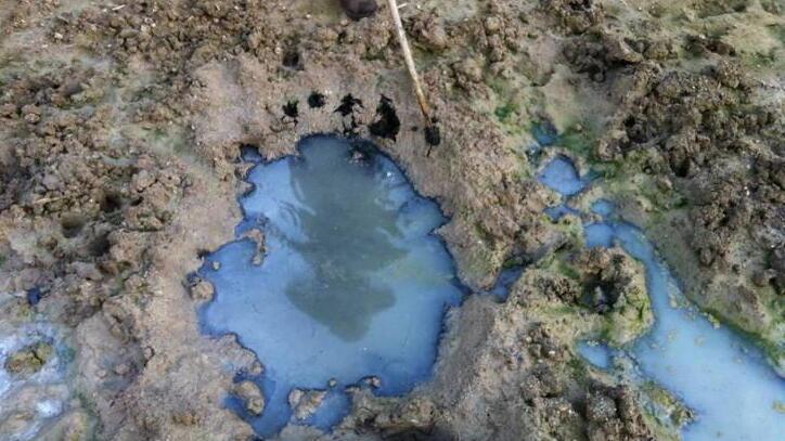 Gli effetti dei concimi sui terreni: da qui il nome “Blu mais” dell’inchiesta