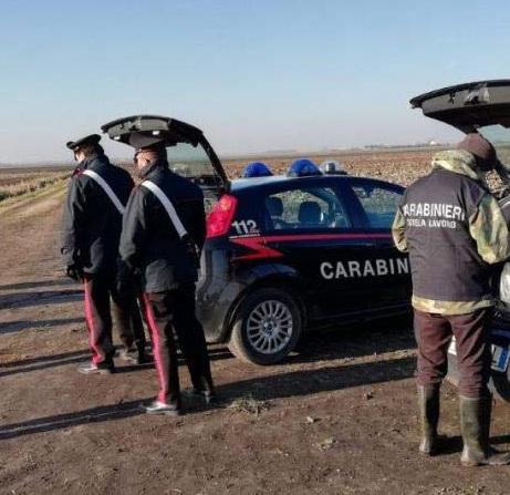 Controlli dei carabinieri nelle campagne (foto di archivio)