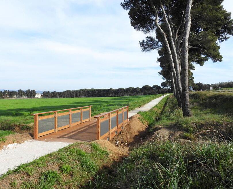 Uno scorcio del primo tratto della ciclovia tra Populonia Stazione e il parcheggio delle Caldanelle (foto PaBar)